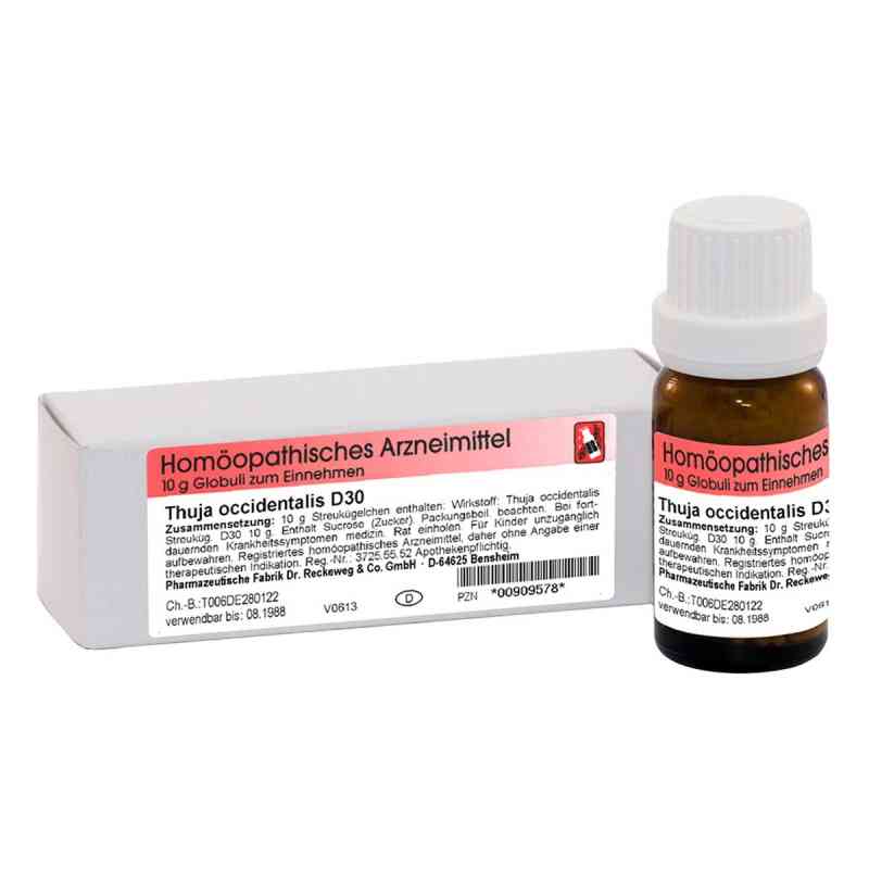 Thuja D30 Globuli 10 g online kaufen kaufen - apotheke.at