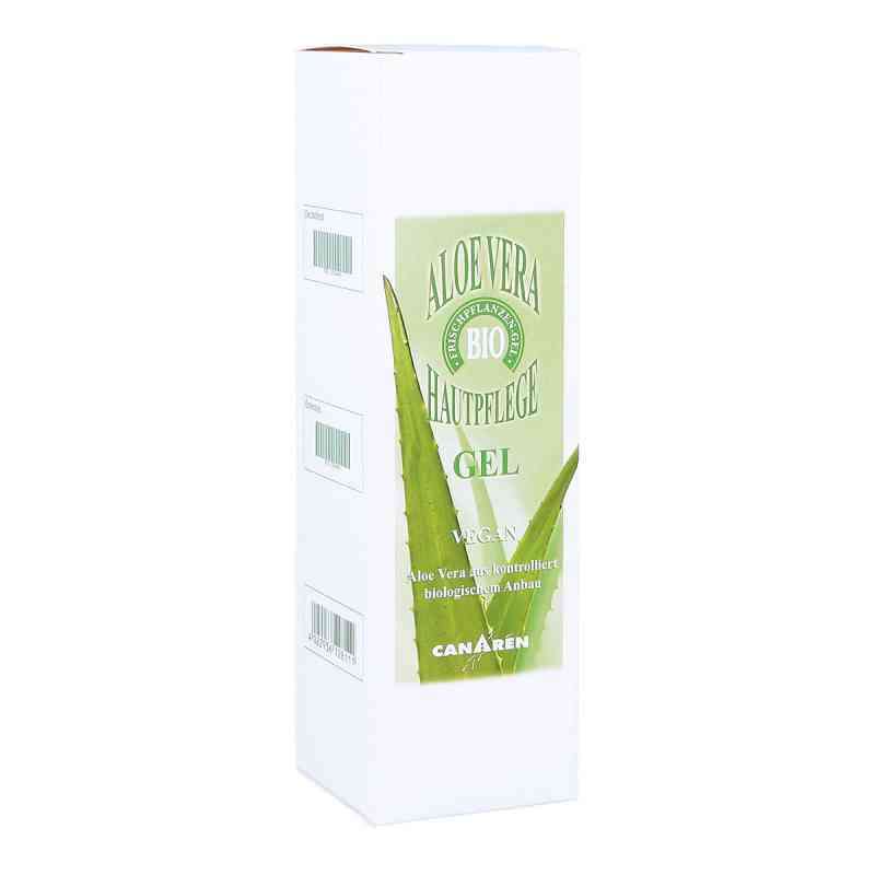 aloe vera temperatur winter Aloe vera - Aloe vera main image 1