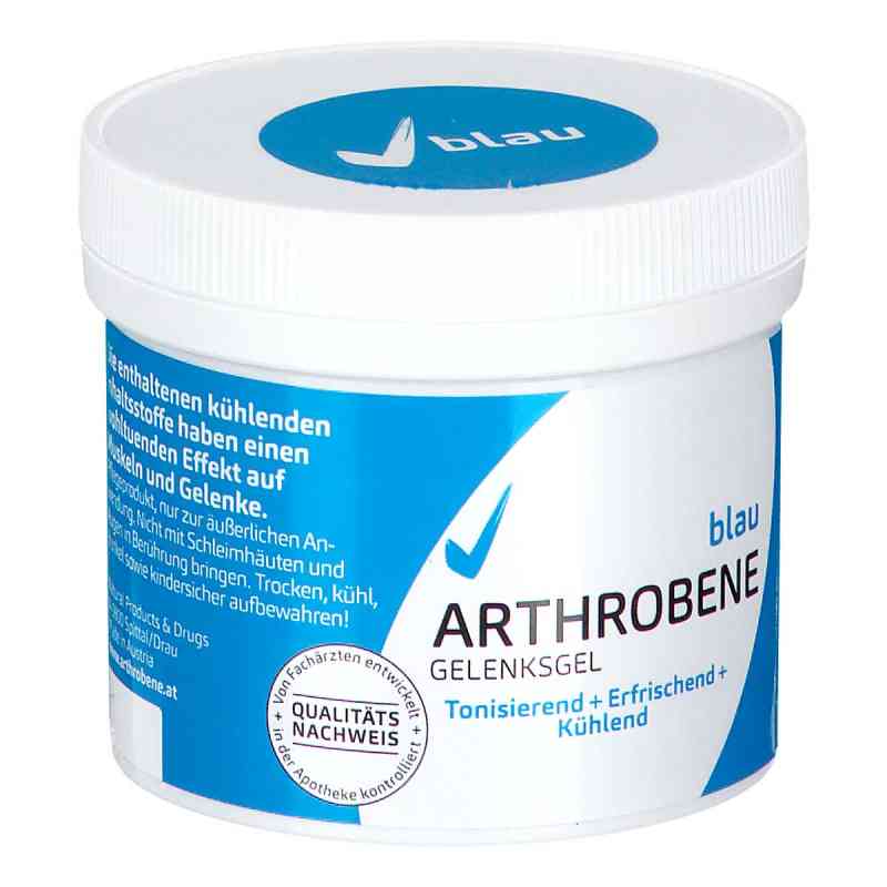 ARTHROBENE blau Gelenksgel 250 ml 250 ml von NATURAL PRODUCTS & DRUGS GMBH PZN 08202664