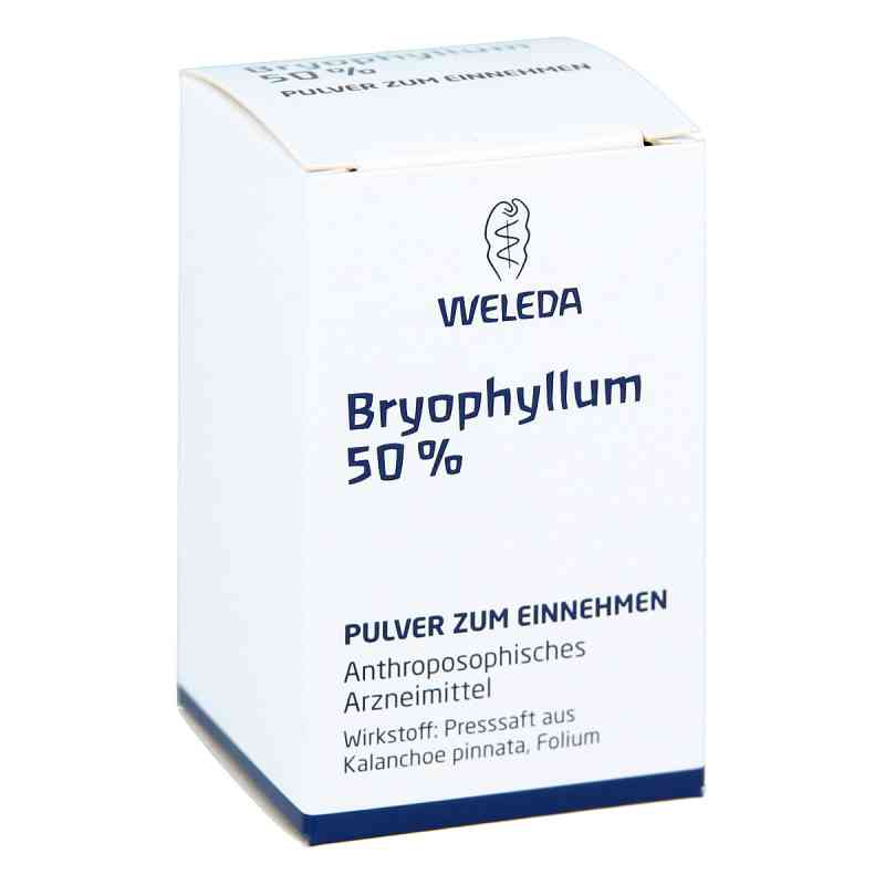 Bryophyllum 50% Pulver zum Einnehmen 20 g von WELEDA AG PZN 02591904