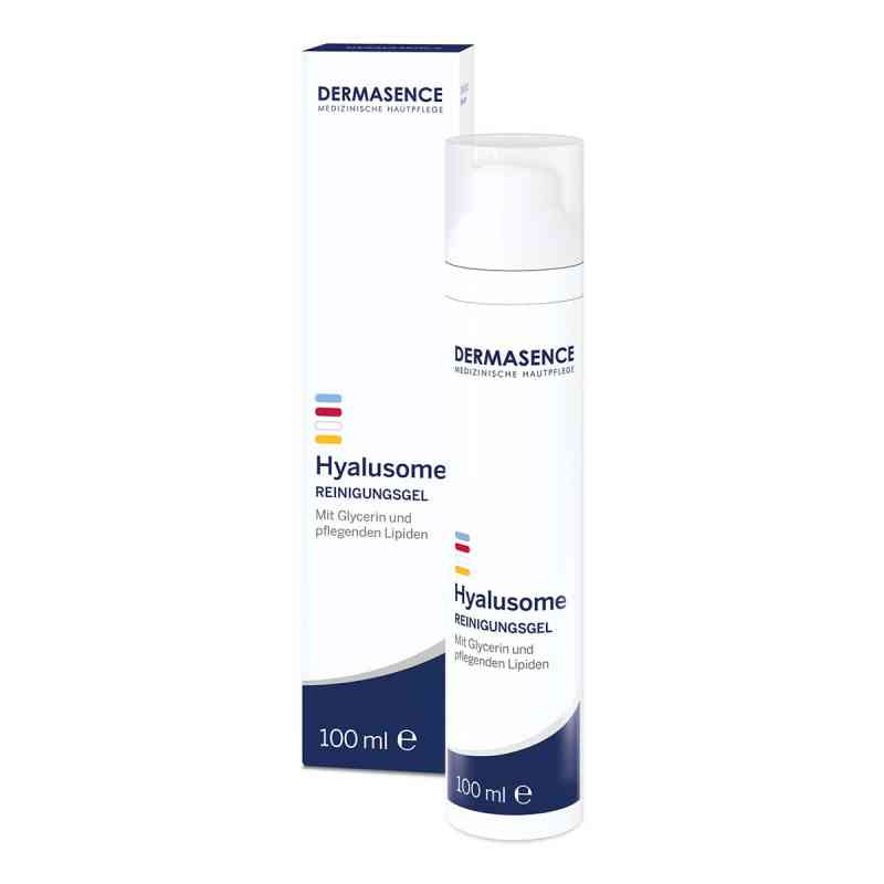 Dermasence Hyalusome Reinigungsgel 100 ml von Medicos Kosmetik GmbH & Co. KG PZN 17847692