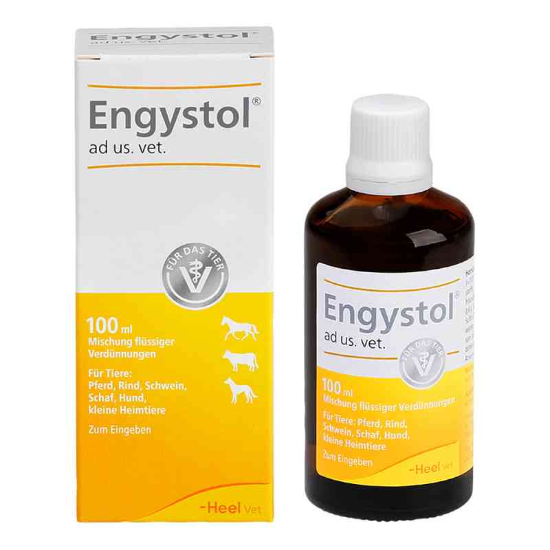 Engystol ad us. vet. Tropfen 100 ml von Biologische Heilmittel Heel GmbH PZN 02858744