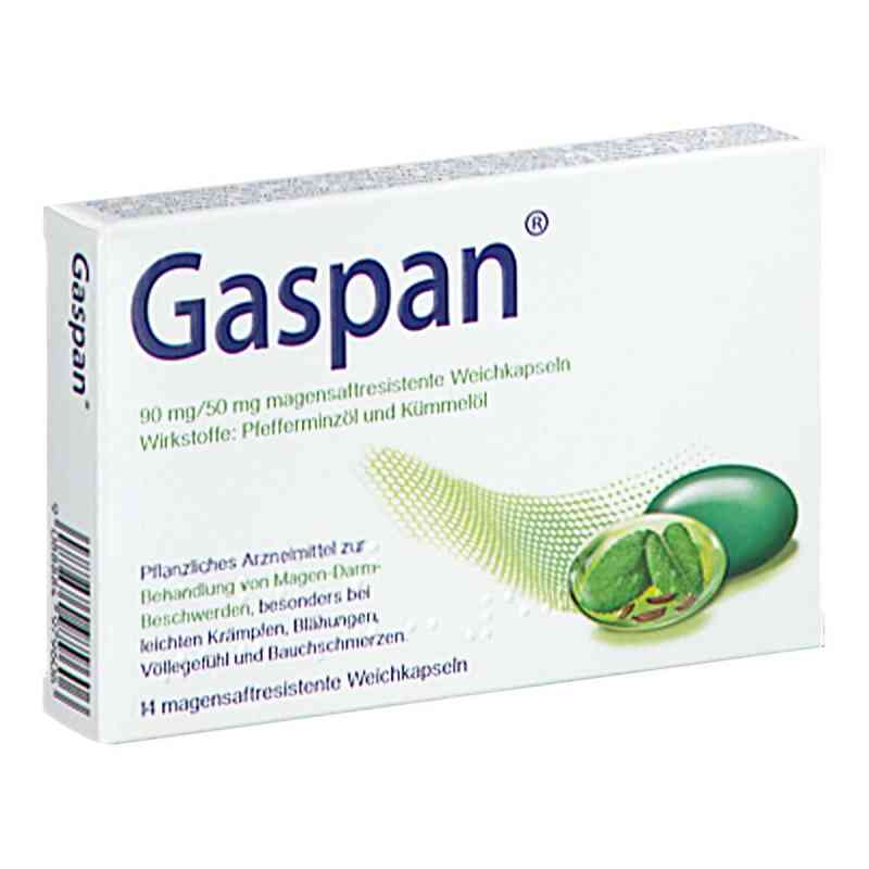 Gaspan 90mg/50mg 14 stk von SCHWABE AUSTRIA GMBH PZN 08201704