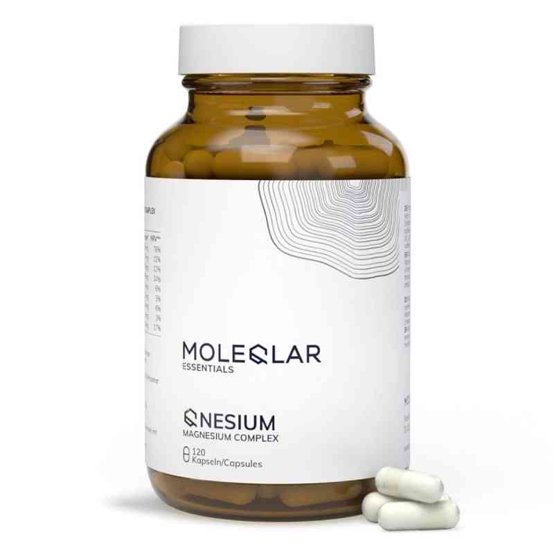 Moleqlar Longevity Qnesium Magnesium Complex Kapsel (n)  120 stk von MoleQlar GmbH PZN 19488760