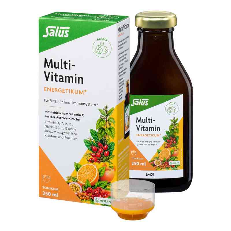 Multivitamin Energetikum 250 ml von SALUS Pharma GmbH PZN 09189855