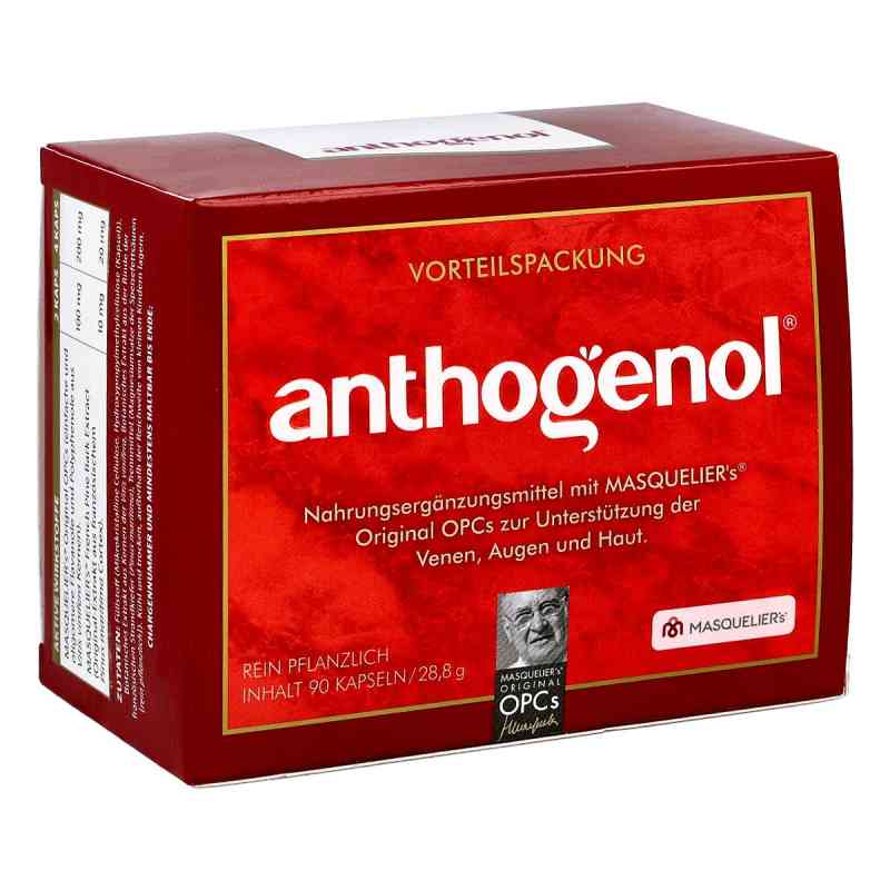 Opc Original Masqueliers Anthogenol Kapseln 90 stk von CMP GmbH PZN 07321902