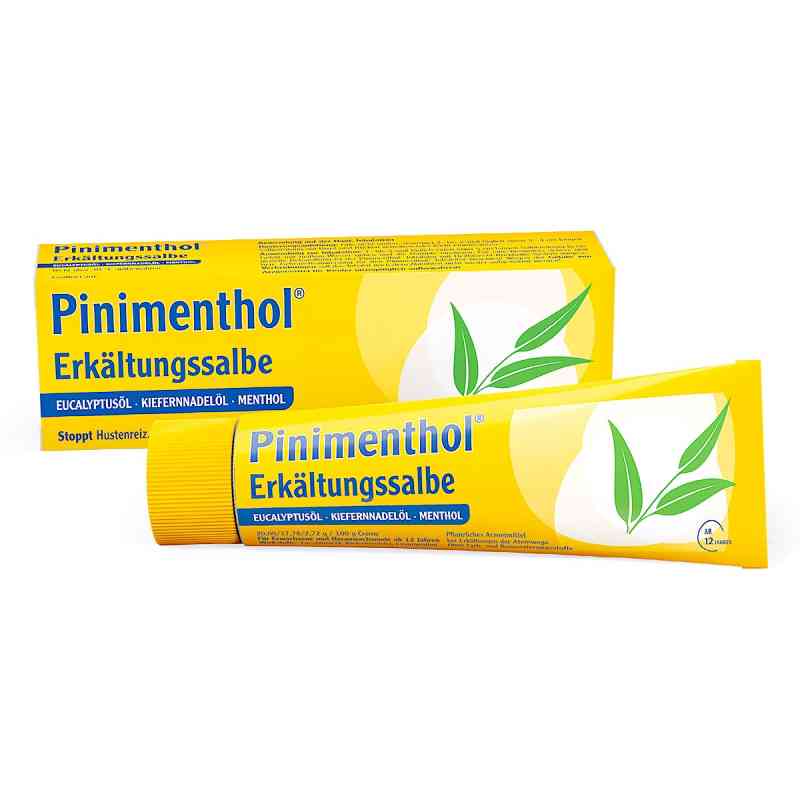Pinimenthol Erkältungssalbe 50 g von Dr.Willmar Schwabe GmbH & Co.KG PZN 07779966
