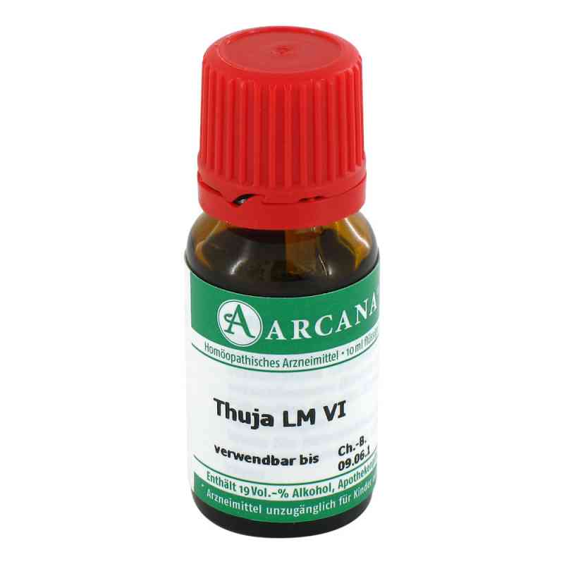 Thuja Arcana Lm 6 Dilution 10 ml online kaufen