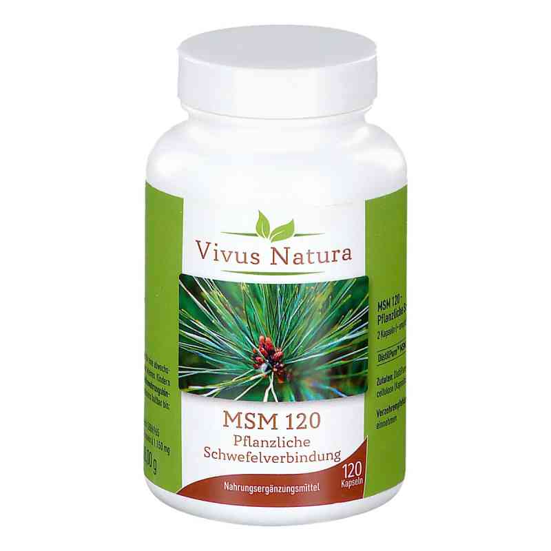 Vivus Natura MSM 120 120 stk von VIVUS NATURA GMBH PZN 08201852