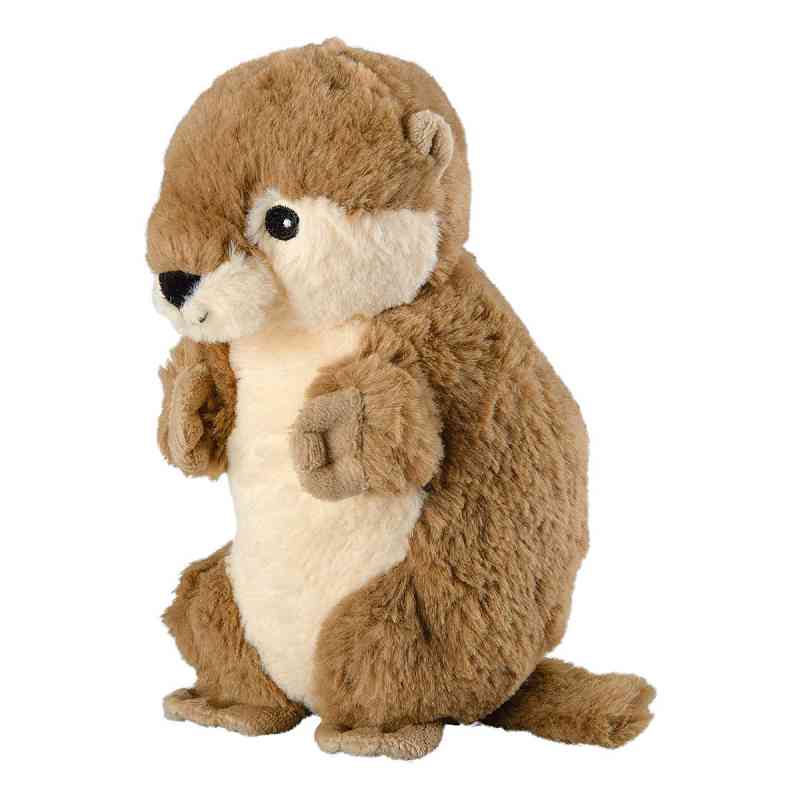 Warmies Minis Otter 1 stk von Greenlife Value GmbH PZN 16033131