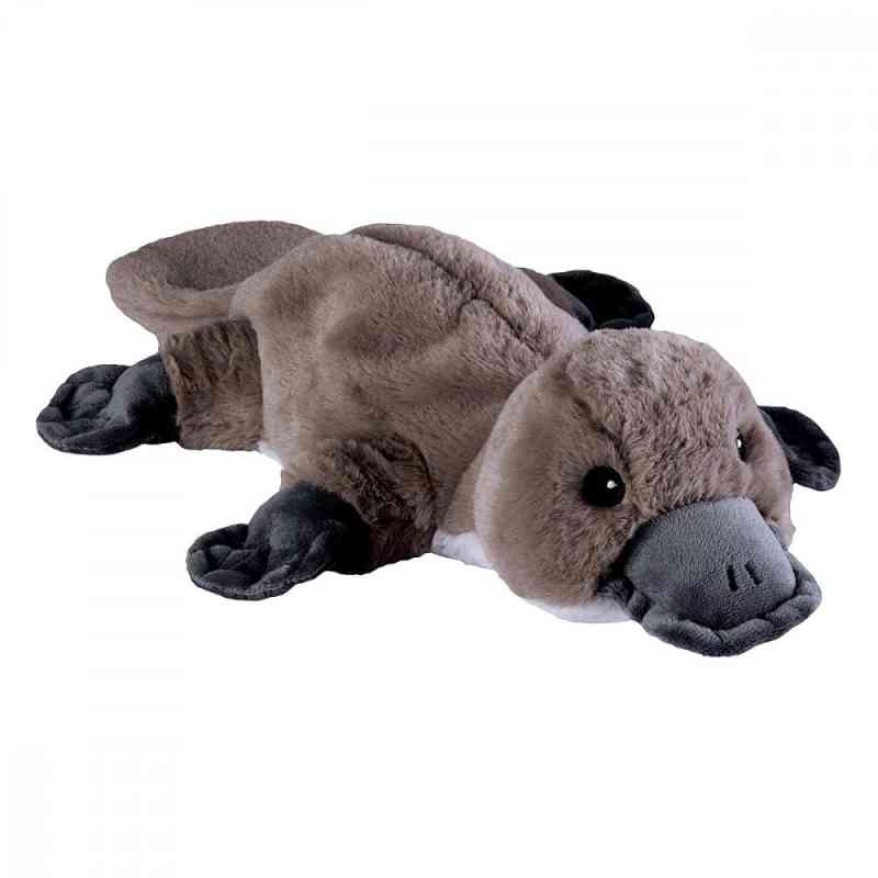 Warmies Schnabeltier 1 stk von Greenlife Value GmbH PZN 15405731