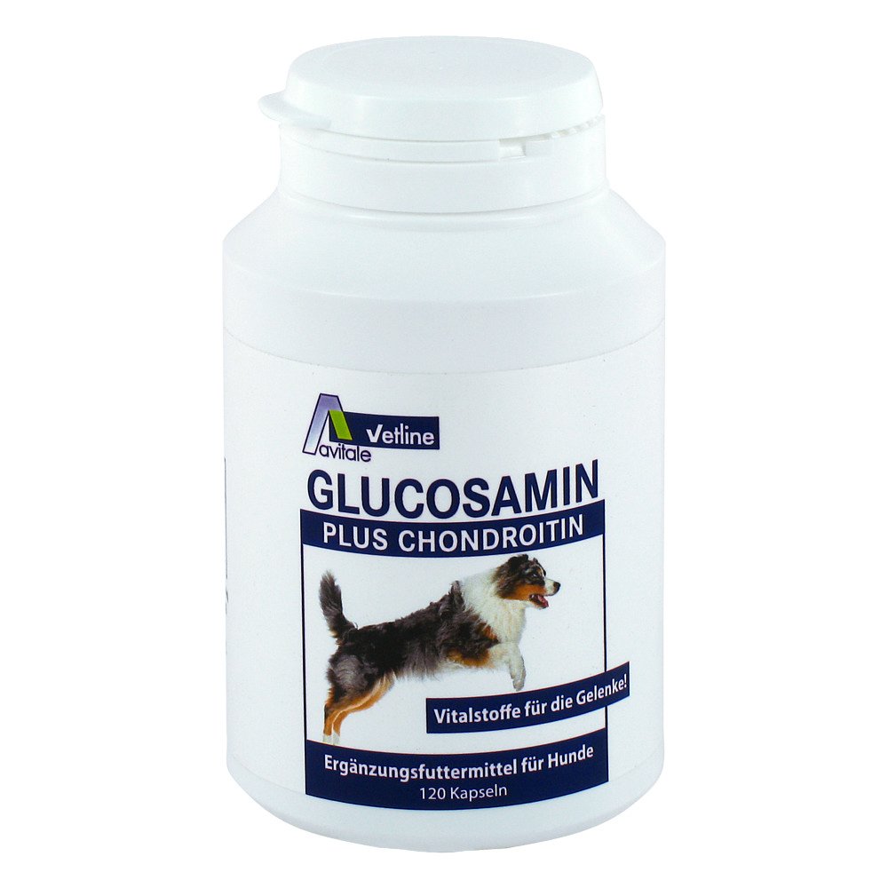 Glucosamin chondroitin hund