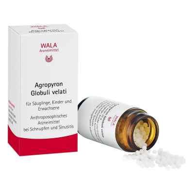 Agropyron Globuli Velati