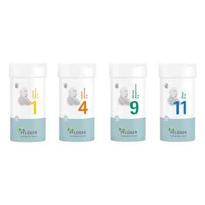 Biochemie Pflüger Schüßler-Salze Nr. 1 + 4 + 9 + 11 Tabletten