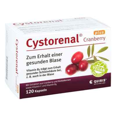 Cystorenal Cranberry plus Kapseln 120 stk von Quiris Healthcare GmbH & Co. KG PZN 05022555
