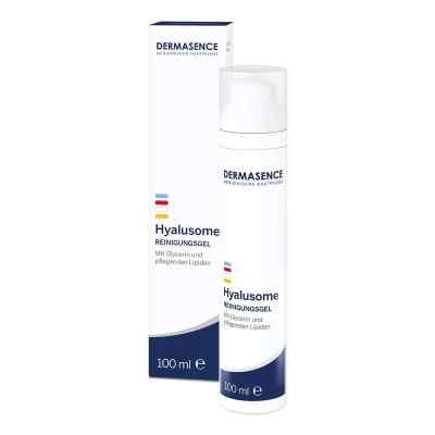 Dermasence Hyalusome Reinigungsgel 100 ml von Medicos Kosmetik GmbH & Co. KG PZN 17847692