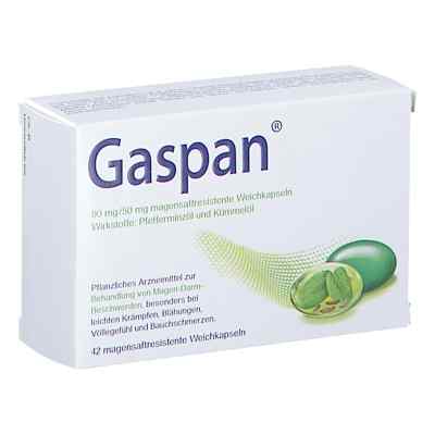 Gaspan 90mg/50mg 42 stk von SCHWABE AUSTRIA GMBH PZN 08201703