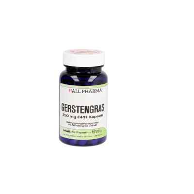 Gerstengras 250 mg Gph Kapseln 60 stk von Hecht-Pharma GmbH PZN 06106521