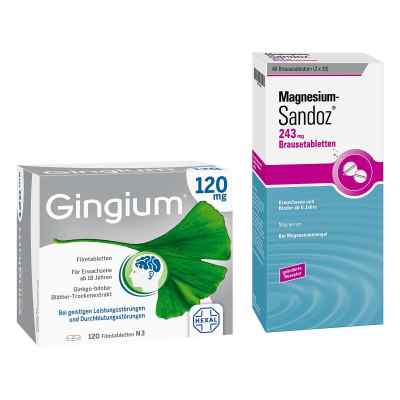 Gingium 120 mg Fta 120 stk + Magnesium Sandoz 243 mg Bta 40 stk