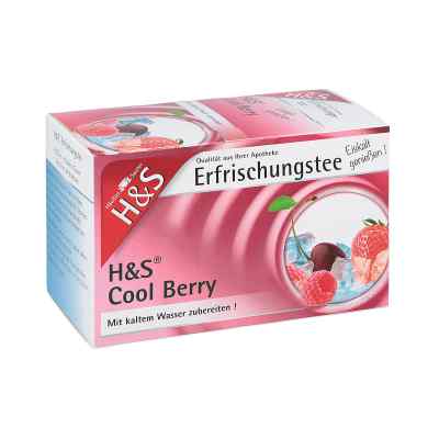 H&s Cool Berry Filterbeutel 20X2.5 g von H&S Tee - Gesellschaft mbH & Co. PZN 11027870