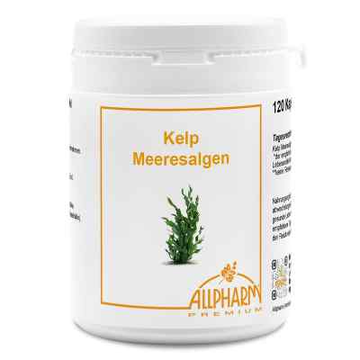 Kelp Meeresalgen Allpharm Premium Kapseln