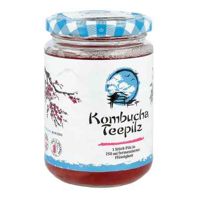 Kombucha Teepilz 1 stk von Hecht-Pharma GmbH PZN 01688955