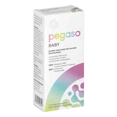 Pegaso Baby Suspension