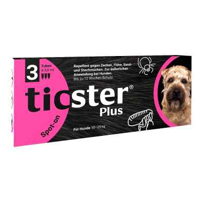 Ticster Plus Spot-on Lösung zum Auftropfen für Hunde 10-25kg 3X3 ml von O'ZOO GmbH PZN 17551508