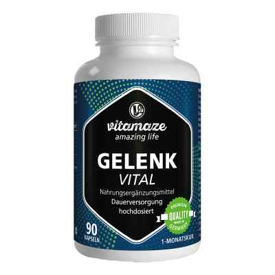 Vitamaze GELENK VITAL