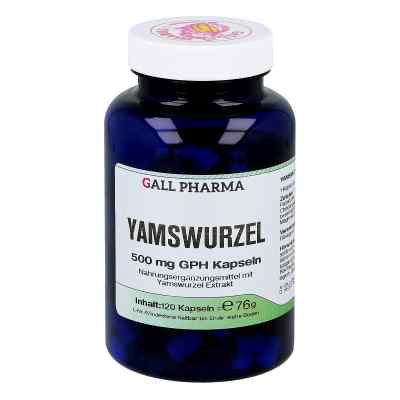 Yamswurzel 500 mg Gph Kapseln 120 stk von Hecht-Pharma GmbH PZN 03378302